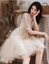 PP403 Champagne Tulle High Low Prom Dresses