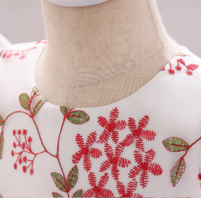 FG240 Flower Embroidery Baby Girl Dresses (4 Colors)