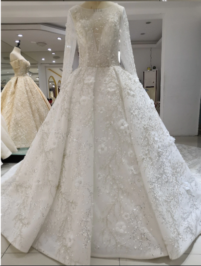 HW40 Luxury Sheer Long Sleeves Wedding Dress +Matching Veil