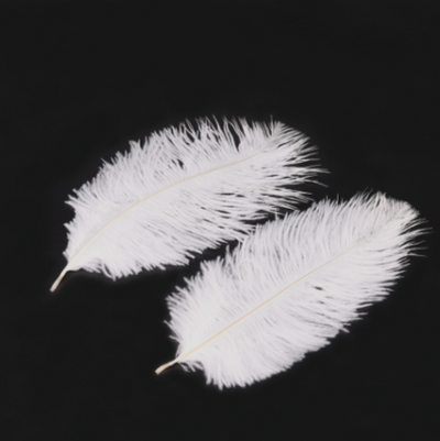 DIY393 : 10pcs/lot Natural White Ostrich Feathers For Wedding Decoration