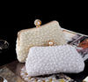 CB307 Pearls Evening Clutch Bags (White/Beige)