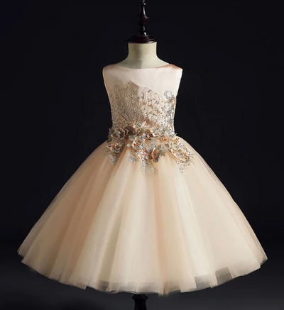 FG149 embroidery  A Line Baby Girls Dresses with cape