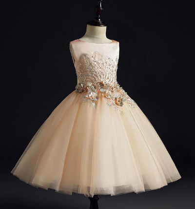 FG149 embroidery  A Line Baby Girls Dresses with cape