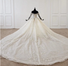 HW138 Long sleeves off shoulder lace Bridal Gown