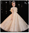 FG383 Champagne Sequined Princess Girl Dress