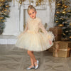 FG658 Luxurious Pageant Gown for Girls