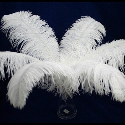 DIY393 : 10pcs/lot Natural White Ostrich Feathers For Wedding Decoration