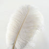 DIY451 White Ostrich Feathers for Wedding decoration
