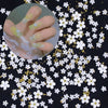 BC04 : 3D Acrylic flowers Mixed Size for DIY Nails decoration