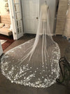 BV64 Bridal Veils with comb