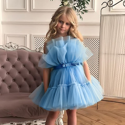 FG453 : 2 styles Princess Girl dresses