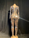 KP36 Sexy Silver mirror Mesh  stage dance Jumpsuit