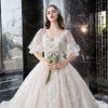 HW437 All Over Appliques Lace  Wedding Gown