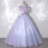 CG216 Butterfly Embroidery ball Gowns