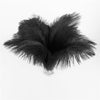 DIY431 Black Ostrich Feathers for Wedding & Event Decoration