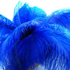 DIY446 Royal Blue Ostrich Feathers For Wedding Decorations