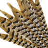 DIY373 Pheasant Feathers for Wedding decoration