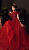 PP321 Burgundy off the shoulder feathers Evening Gowns