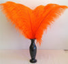 DIY432 Orange Ostrich Feathers for Wedding & Event decoration