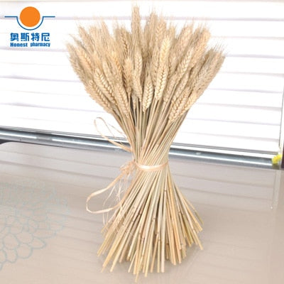 DIY101 Dried ear of wheat for Wedding & Event Decor ( 7 Colors )