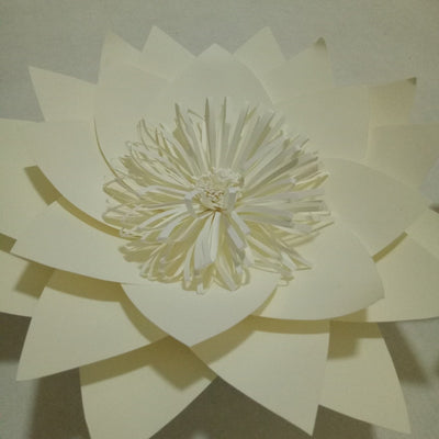 DIY132 : Giant Paper Flowers For Wedding & Party Backdrops