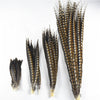 Wholesale 10 Pcs/Lot Natural Lady Amherst Pheasant Feathers 10-120CM 4-48inch jewelry Wedding Decorations Pheasant Feather plume
