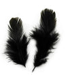 DIY48 :200pcs/lot Pheasant Plume Feather For Wedding Decoration(13Colors)
