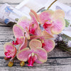 DIY55 Wedding Decor : Artificial Butterfly Orchid Flowers