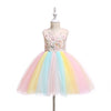 FG23 Flower Rainbow Dress for Birthday Party