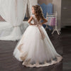FG62 Puffy Lace Flower Girl Dress